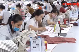 BHXH Việt Nam đề xuất đóng BHXH 70% bình quân thu nhập