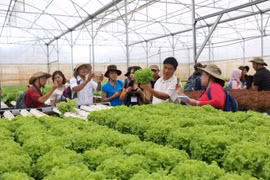 Tổng kết 20 năm đổi mới, phát triển và nâng cao hiệu quả kinh tế tập thể