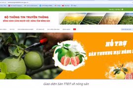 Bộ Thông tin và Truyền thông ra mắt Cổng thông tin điện tử hỗ trợ sản xuất nông nghiệp