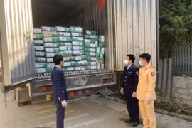 Lạng Sơn: Tạm giữ 14 tấn thịt bò ngoại nhập chưa chứng minh được nguồn gốc hợp pháp