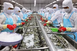 Ngành thủy sản: Kinh doanh thuận lợi, cổ phiếu nhiều doanh nghiệp bật tăng