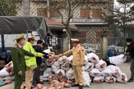 Kịp thời phát hiện, xử lý những vụ vận chuyển thực phẩm không rõ nguồn gốc