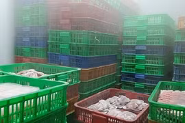 Phát hiện hơn 11 tấn thịt, cá lậu trong cơ sở kinh doanh