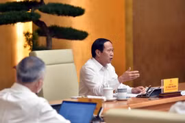 'Xe chở mấy trăm con lợn, hàng nghìn con gà mà sang tải thì doanh nghiệp làm sao sống nổi!'