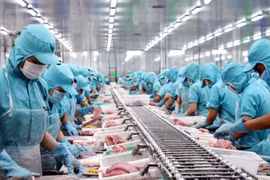 Giảm hơn 100 doanh nghiệp xuất khẩu thuỷ sản trong tháng 8/2021