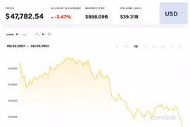 Giá Bitcoin hôm nay 25/8: Trượt về mức 48.000 USD