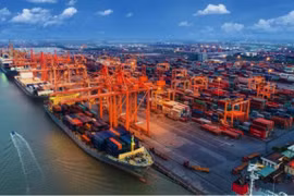 Cước vận tải biển tăng vọt là tín hiệu tốt cho thị trường xuất khẩu