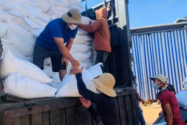 TP. HCM: Yêu cầu khẩn trương cấp phát gạo cho người gặp khó khăn do dịch bệnh Covid-19