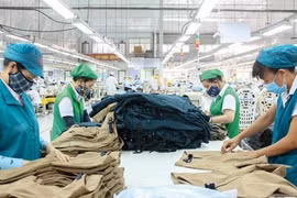 Hà Nội chi hơn 830 tỷ đồng cho đề án hỗ trợ doanh nghiệp nhỏ và vừa
