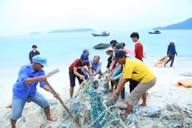Tiếp nhận tác phẩm dự giải báo chí “Giảm thiểu rác thải nhựa đại dương” đến 25/11/2021