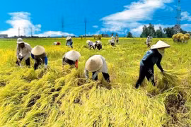 Bất động sản, nông nghiệp, du lịch vẫn sẽ chịu tác động của đại dịch trong dài hạn