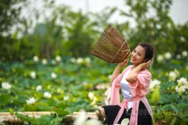 Ngắm thiếu nữ bên đầm sen trắng tuyệt đẹp vùng ngoại ô Hà Nội
