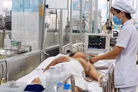 Ghi nhận hơn 700 ca mắc sốt xuất huyết ở Hà Nội