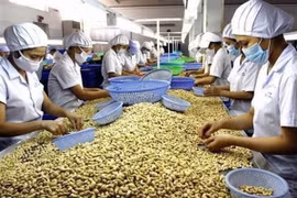 Năm 2021, ngành nông nghiệp đặt mục tiêu xuất khẩu 3,6 tỷ USD hạt điều