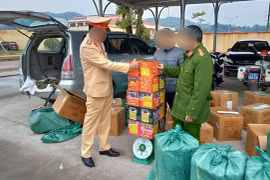 Bắt giữ đối tượng vận chuyển hơn 500kg pháo đi tiêu thụ
