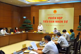 Phối hợp chặt chẽ để giải quyết chính xác các vấn đề về nhân sự trước ngày bầu cử