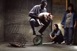 Nhà sản xuất phim ‘Vị’ bị phạt 35 triệu đồng
