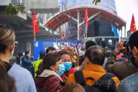 Người dân Hà Nội háo hức tham quan đoàn tàu đầu tiên của tuyến metro Nhổn - ga Hà Nội