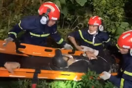 Tìm thấy thi thể thanh niên rơi xuống vực sâu ở núi Sơn Trà