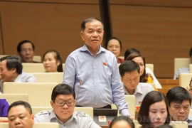 Đại biểu HĐND chuyên trách chỉ tương đương với Trưởng phòng làm sao giám sát được Giám đốc Sở?