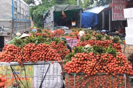 Phó Thủ tướng chỉ đạo hỗ trợ tiêu thụ nông sản giúp tỉnh Bắc Giang