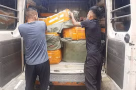 Hà Nội: Phát hiện hơn 1 tấn nầm lợn không rõ nguồn gốc, bốc mùi