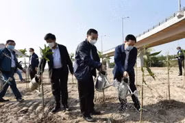 Hà Nội phấn đấu trồng hơn 300 nghìn cây xanh trong năm 2021