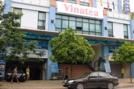 Hàng trăm ha đất bị lấn chiếm tại Tổng công ty Chè chưa được giải quyết dứt điểm