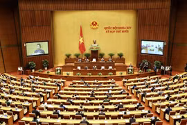 Công tác giám sát của Quốc hội đã lựa chọn “trúng” và “đúng” vấn đề mà cử tri quan tâm