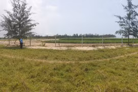 Một cá nhân bị phạt 350 triệu đồng vì lấn chiếm hơn 53 nghìn m2 đất dự án