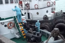 Hướng dẫn tàu biển hoạt động vận tải trong thời gian phòng chống dịch COVID-19