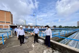 Ngành Xây dựng và Môi trường đô thị Thành phố Hồ Chí Minh căng mình ứng phó dịch bệnh Covid-19