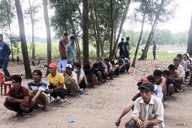 Triệt phá tụ điểm đá gà ăn tiền, khống chế 14 đối tượng