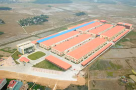Thông tin về 2 trường hợp tử vong sau khi tiêm vắc-xin phòng COVID-19 ởThanh Hóa