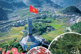 Rồi sẽ lại Xuân!