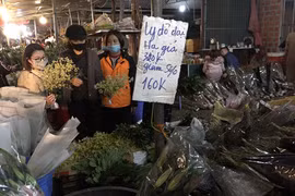 Tiểu thương nhọc nhằn mưu sinh tại chợ đầu mối ngày cận Tết