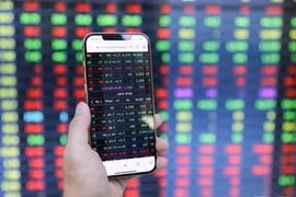 Cổ phiếu MSN tăng kịch trần, Vn-Index bật tăng trở lại