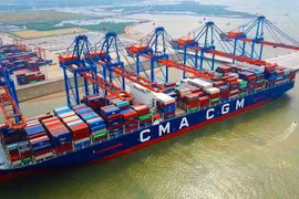 Hãng tàu lớn thứ ba thế giới cam kết ngừng tăng giá cước tại Việt Nam