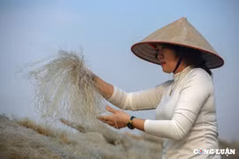 Miến sạch làng So - đặc sản của vùng quê tại Thủ đô Hà Nội