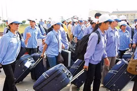 Cục Quản lý Lao động ngoài nước buông lỏng quản lý, người lao động mất tiền oan hàng nghìn USD