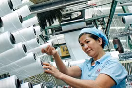 Hà Tĩnh sắp có nhà máy sợi 600 tỷ đồng