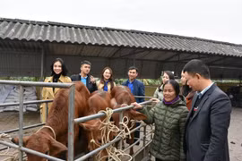 Báo Tiền Phong và nhà tài trợ trao 1 tỷ đồng hỗ trợ người dân vùng lũ Hà Tĩnh mua bò giống