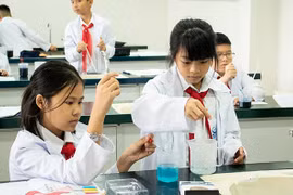 TP. Hồ Chí Minh: Yêu cầu chấm dứt thí điểm chương trình giáo dục tích hợp