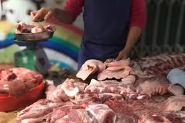 Giá lợn hơi tiếp tục giảm sâu, chạm “đáy” 2 năm
