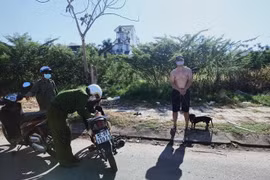 Dắt thú cưng đi dạo, người đàn ông bị đề nghị phạt 7,5 triệu đồng