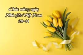 Những lời chúc hay ngày Nhà giáo Việt Nam 20/11
