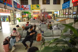 Không để xảy ra tình trạng tăng giá vé, người dân có phương tiện về quê đón Tết