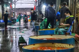 Đìu hiu ngày Tết ông Công ông Táo 23 tháng Chạp