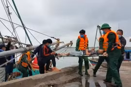 Kịp thời ứng cứu 8 thuyền viên tàu đánh cá bốc cháy trên biển
