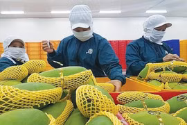 Hàng nông sản Mỹ được người Việt ưa chuộng nhất: 10 tháng, cả nước nhập 3,3 tỷ USD
